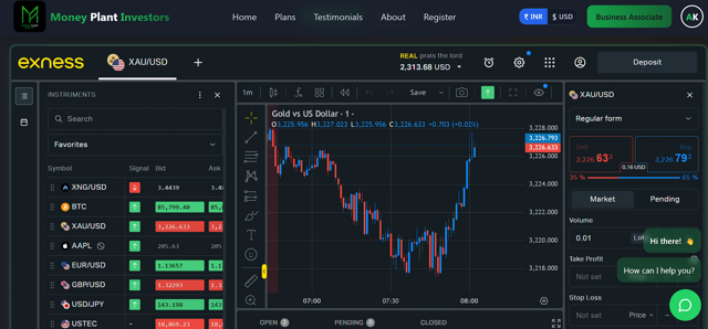 Finance: Money Plant Investors